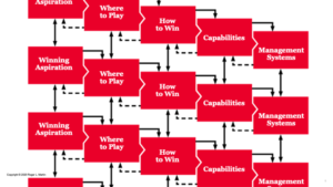 تفویض اختیار انتخاب استراتژیک